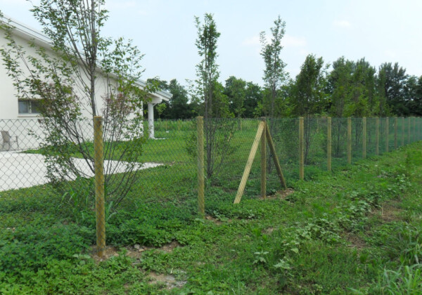 21-reti-romboidali-recinzioni-montegrappa