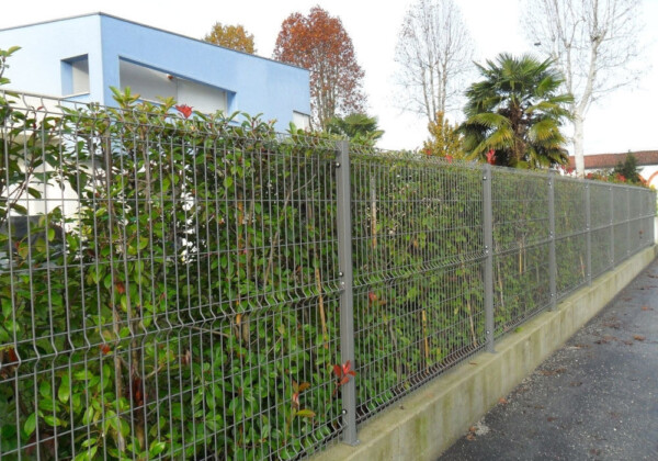 20-genesis-recinzioni-montegrappa