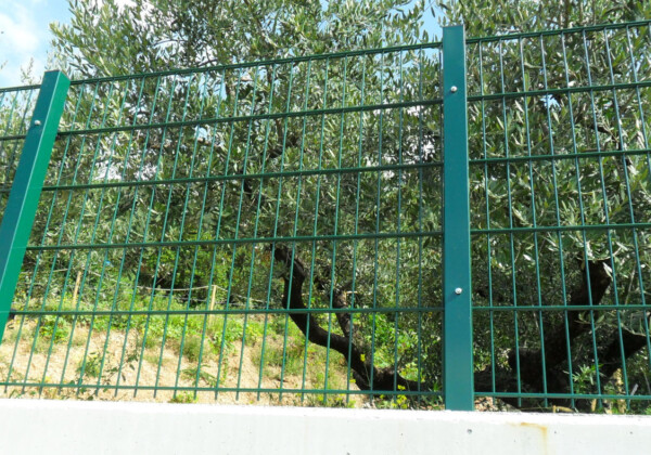 unika-champion-1-recinzioni-montegrappa